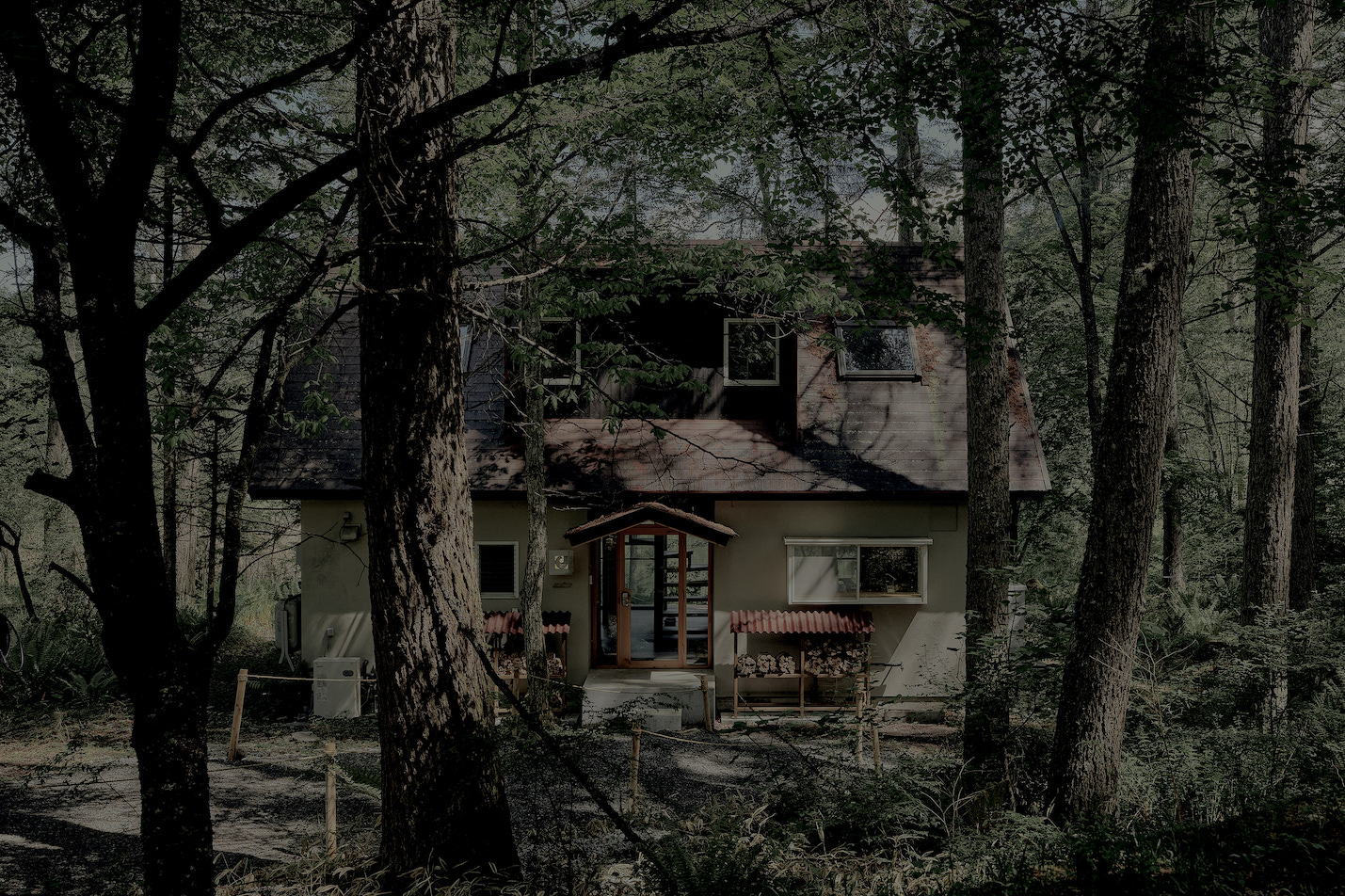 03 HOTORI_Yatsugatake_RYT_250527_0361